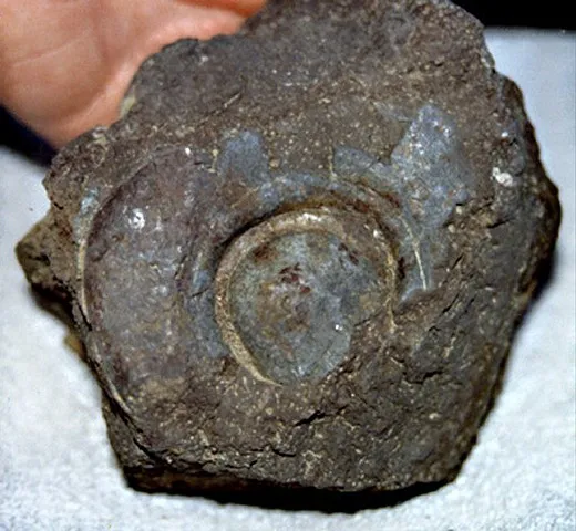 Archeologický pohled na Noemovou Archu – obrázek 10